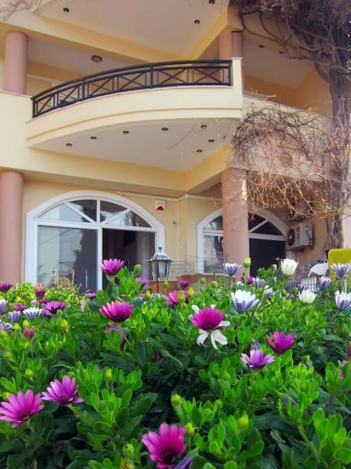 אגיה פלגיה קיתירה Lenico Beachfront Suites מראה חיצוני תמונה