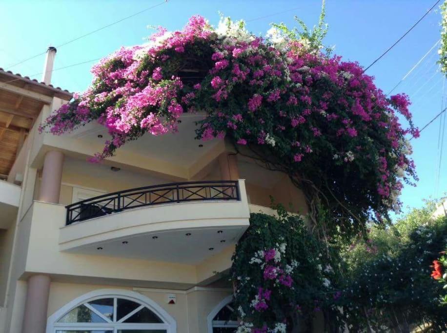אגיה פלגיה קיתירה Lenico Beachfront Suites מראה חיצוני תמונה
