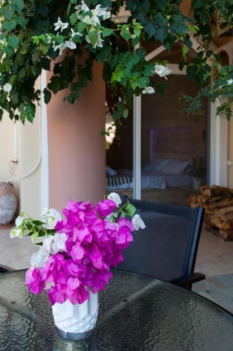 אגיה פלגיה קיתירה Lenico Beachfront Suites מראה חיצוני תמונה