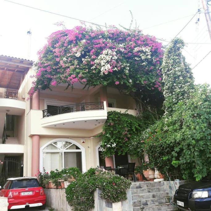 אגיה פלגיה קיתירה Lenico Beachfront Suites מראה חיצוני תמונה
