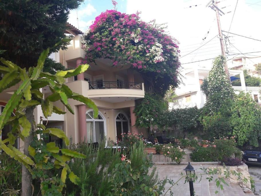 אגיה פלגיה קיתירה Lenico Beachfront Suites מראה חיצוני תמונה